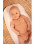 Coccodrillo body bebe - Pled.ro