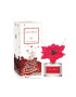 Cocodor difuzor de arome Joyful Season 120 ml - Pled.ro