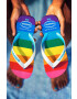 Havaianas slapi TOP PRIDE 4145742.0031 - Pled.ro