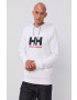 Helly Hansen bluză HH LOGO HOODIE 33977 - Pled.ro