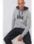 Helly Hansen bluză HH LOGO HOODIE 33977 - Pled.ro