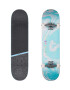 Impala skateboard Cosmos - Pled.ro