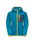 Jack Wolfskin geaca copii ACTIVE JACKET K - Pled.ro