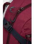 Jack Wolfskin rucsac Velocity 12 culoarea violet mare neted - Pled.ro