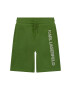 Karl Lagerfeld pantaloni scurti copii culoarea verde - Pled.ro