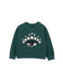 Kenzo kids bluza copii culoarea verde cu imprimeu - Pled.ro