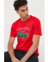 Lacoste tricou - Pled.ro