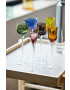 Lyngby set de pahare de vin Aquavit 6-pack - Pled.ro