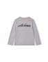 Marc Jacobs longsleeve din bumbac pentru copii x Looney Tunes culoarea gri cu imprimeu - Pled.ro