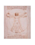 MuseArta Prosop Leonardo da Vinci - The Vitruvian Man - Pled.ro