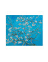 MuseArta Prosop Vincent van Gogh - Almond Blossom - Pled.ro