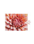 Printworks puzzle Dahlia 500 elemntów - Pled.ro