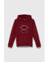 Quiksilver bluza copii GRAPHICHOODIE OTLR culoarea bordo cu glugă cu imprimeu - Pled.ro