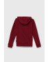 Quiksilver bluza copii GRAPHICHOODIE OTLR culoarea bordo cu glugă cu imprimeu - Pled.ro