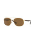 Ray-Ban Ochelari - Pled.ro