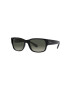 Ray-Ban ochelari de soare RB4388 culoarea negru - Pled.ro