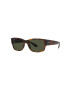 Ray-Ban ochelari de soare RB4388 culoarea maro - Pled.ro