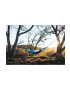 Sea to Summit hamac simplu Hammock Set Pro Single Single 300 x 150cm - Pled.ro