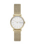 Skagen Ceas SKW2693 - Pled.ro