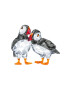 Swarovski decorație Atlantic Puffins 2-pack - Pled.ro