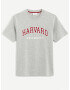 Celio Harvard University Tricou Gri - Pled.ro