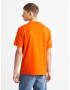 Celio University of Florida Tricou Portocaliu - Pled.ro