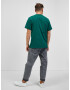 Converse Tricou Verde - Pled.ro