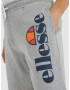 Ellesse Bossini Pantaloni scurți Gri - Pled.ro