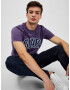 GAP Tricou Violet - Pled.ro