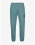 O'Neill Future Surf Pantaloni de trening Verde - Pled.ro