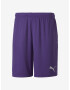 Puma teamGOAL 23 Pantaloni scurți Violet - Pled.ro