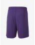 Puma teamGOAL 23 Pantaloni scurți Violet - Pled.ro