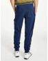 Tommy Jeans Tommy Badge Pantaloni de trening Albastru - Pled.ro