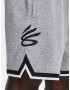 Under Armour Curry Fleece 9'' Pantaloni scurți Gri - Pled.ro