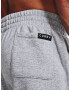 Under Armour Curry Fleece Pantaloni de trening Gri - Pled.ro