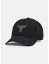 Under Armour Project Rock Trucker Șapcă de baseball Negru - Pled.ro