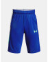 Under Armour UA Baseline Mfo Pantaloni scurţi pentru copii Albastru - Pled.ro