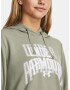 Under Armour UA Rival Terry Graphic Hdy Hanorac Verde - Pled.ro