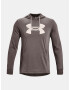 Under Armour UA Rival Terry Logo Hoodie Hanorac Maro - Pled.ro