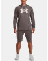 Under Armour UA Rival Terry Logo Hoodie Hanorac Maro - Pled.ro