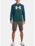 Under Armour UA Rival Terry Logo Hoodie Hanorac Verde - Pled.ro