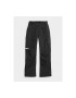 4F Pantaloni pentru ski barbati 302876853 Poliester - Pled.ro