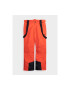 4F Pantaloni ski barbati 302876211 Poliester - Pled.ro