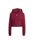 adidas Hanorac HOODIE HJ7849 - Pled.ro