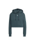 adidas Hanorac HOODIE HS6777 - Pled.ro