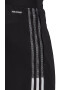 adidas Performance Pantaloni cu imprimeu logo pentru fotbal Tiro21 - Pled.ro