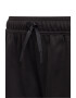 adidas Sportswear Pantaloni scurti cu logo contrastant Designed To Move - Pled.ro