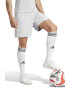 adidas Performance Pantaloni scurti pentru fotbal Fortore 23 - Pled.ro