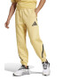 adidas Sportswear Pantaloni de trening cu buzunare cu fermoar Z.N.E. - Pled.ro