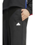 adidas Sportswear Pantaloni de trening cu croiala ampla Express - Pled.ro